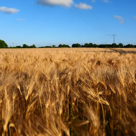 Captains * Steinbergkirche