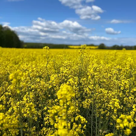 Captains Steinbergkirche