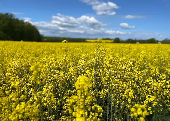 Captains Steinbergkirche